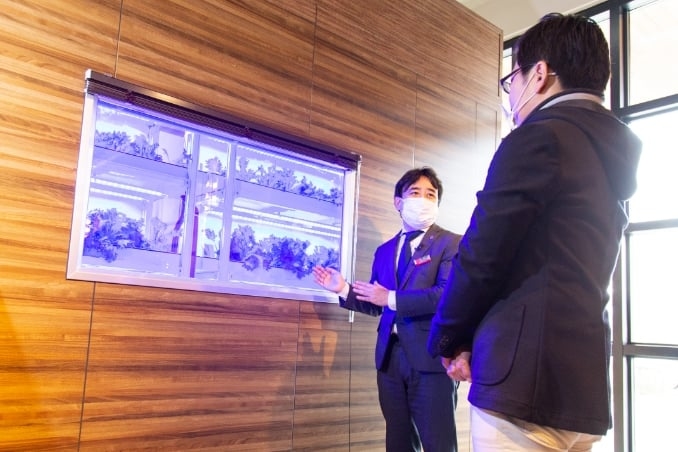 新型MIRAI_水耕栽培