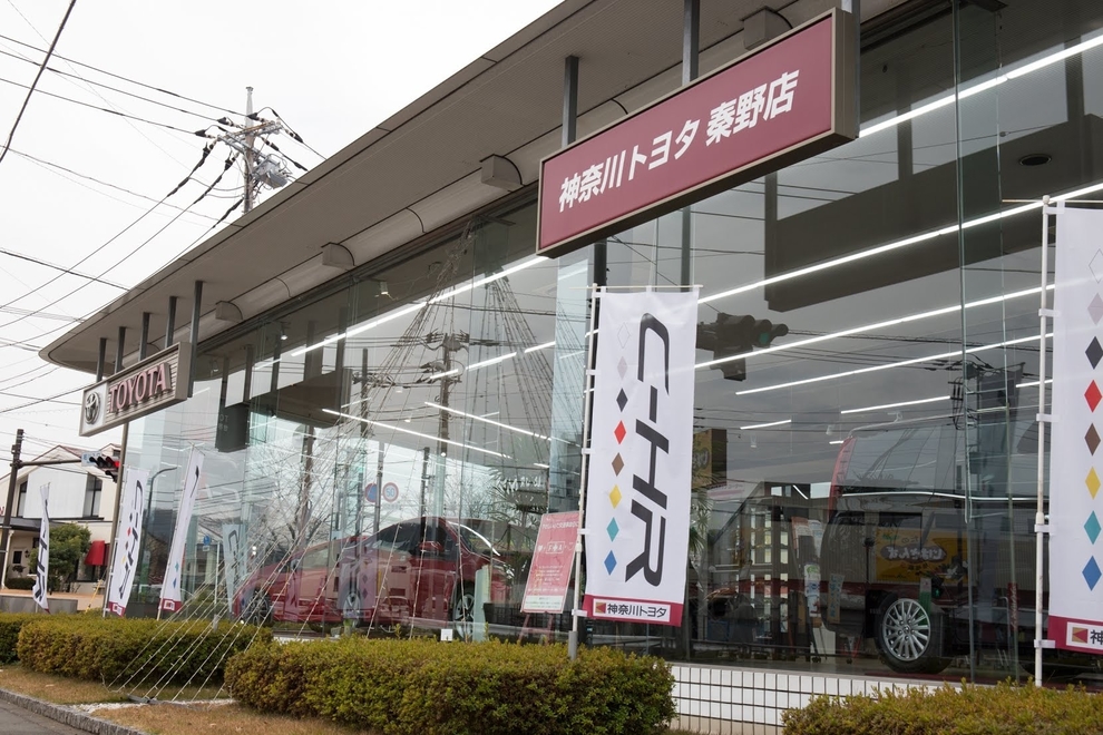 秦野