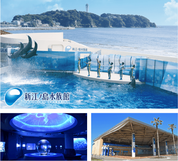 新江ノ島水族館