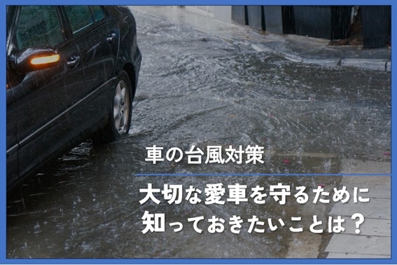 車_台風対策