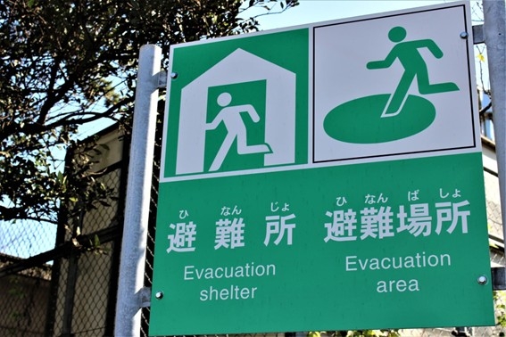 車_台風対策