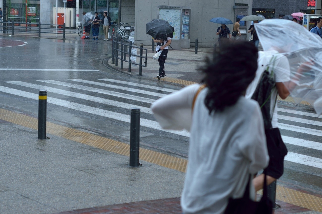 車_台風対策