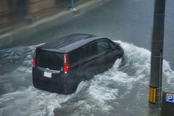 車_台風対策