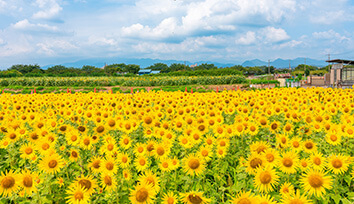 大和・綾瀬・座間エリア