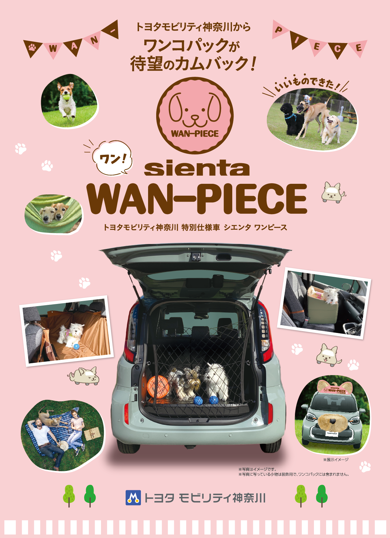 TOYOTA シエンタ犬 トヨタCMで「可愛すぎる