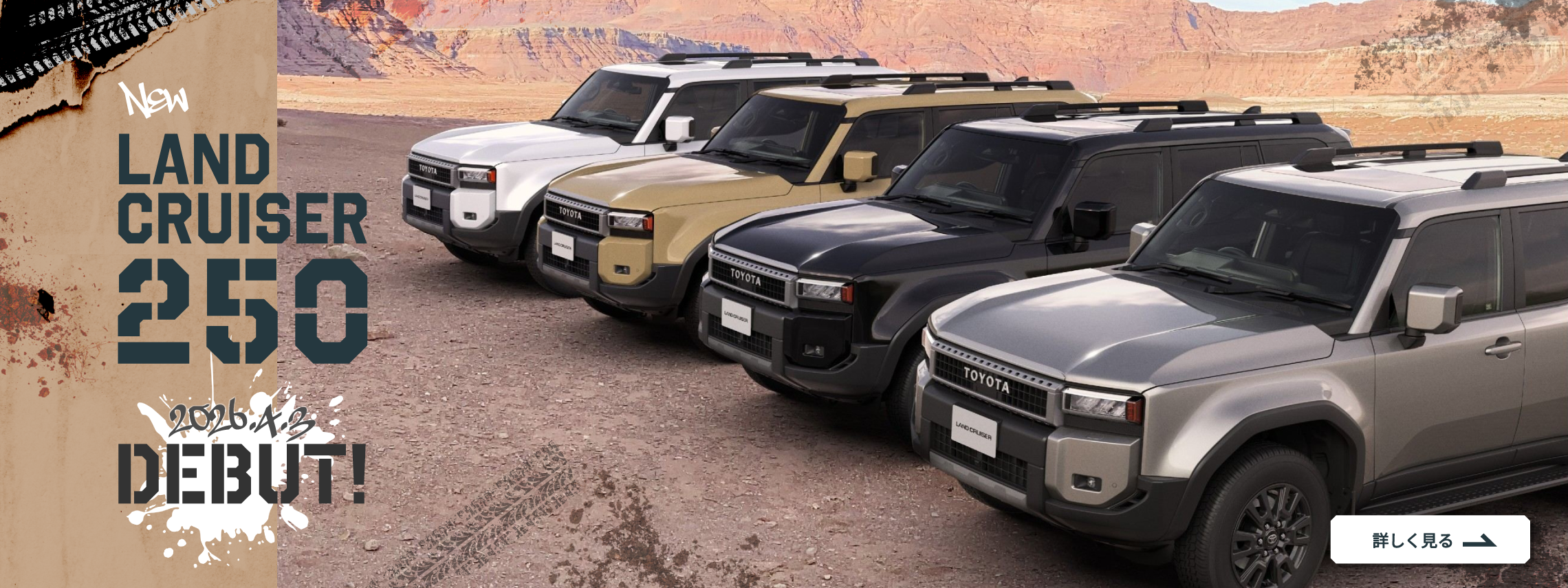 キャンパーシリーズ