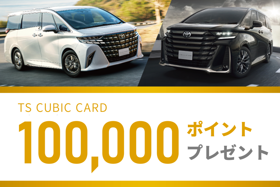 100,000ポイントプレゼント_Ts3_pickup