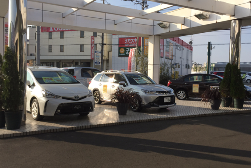 茅ヶ崎西店(旧:トヨタカローラ横浜茅ヶ崎店)_展示車0501_2