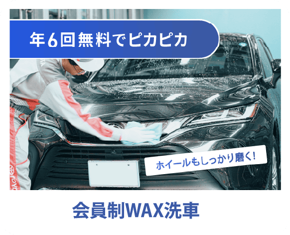 会員制WAX洗車